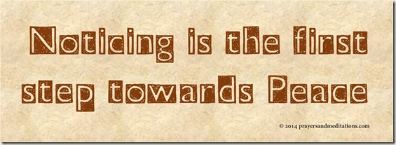 Noticing is the first step towards Peace