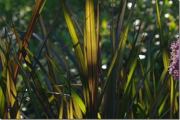 clip_image002_thumb[1]