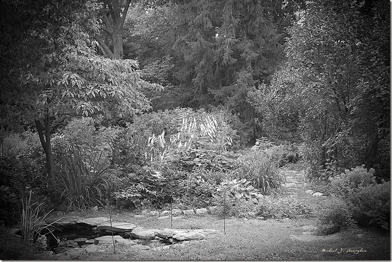 Schorr Garden_Small BW