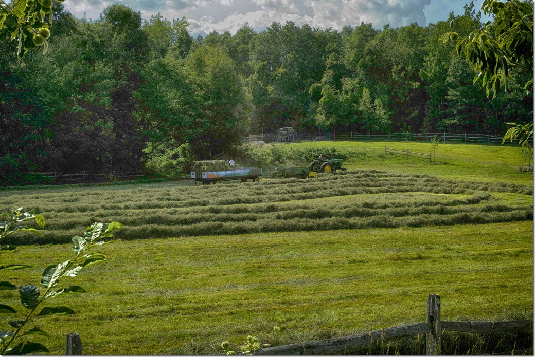 Landscape-Farming-Small