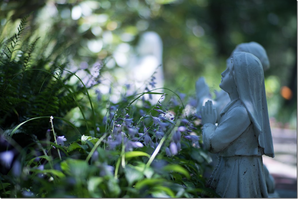 Praying-in-the-shade