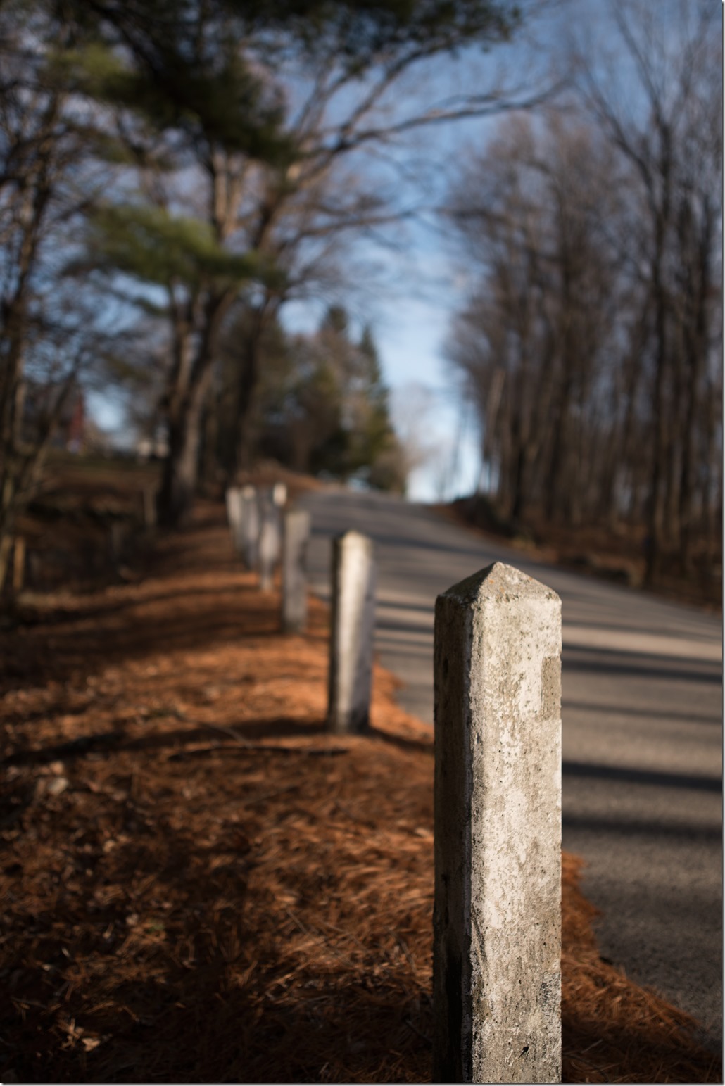 Road Posts DSC_5327