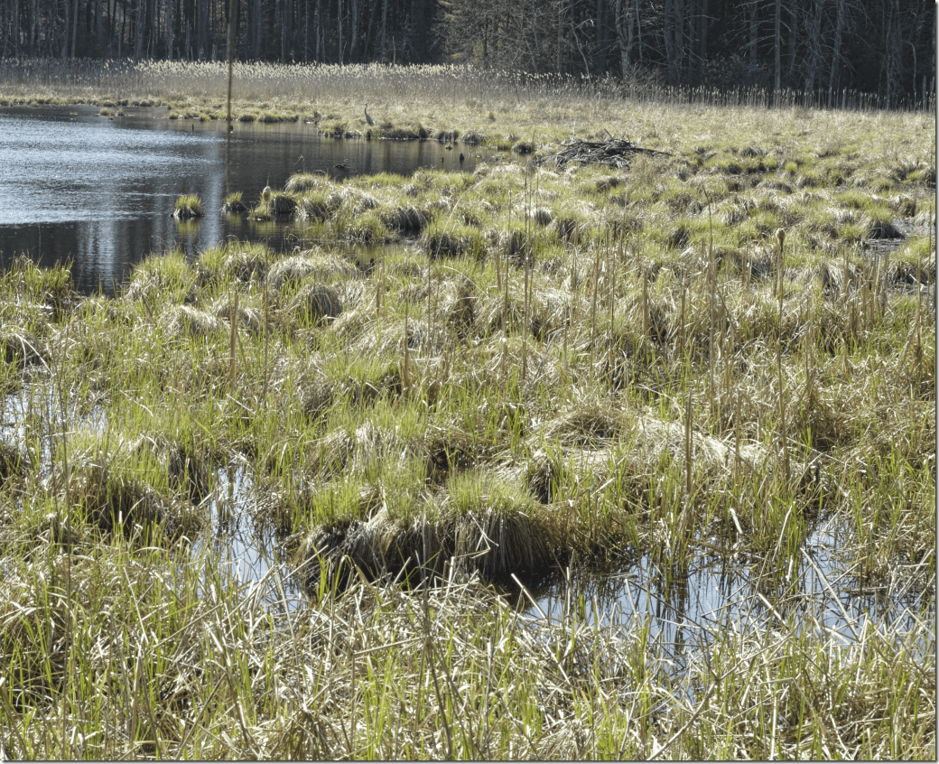 Lake in Stow BW_P2M0675