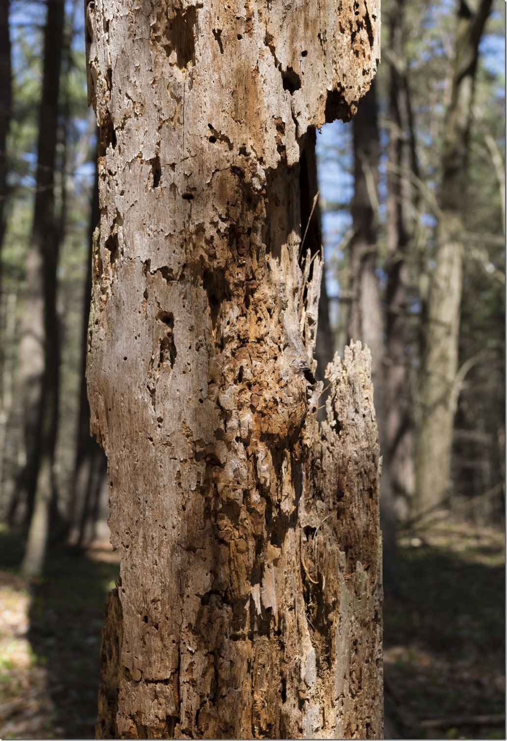 MichaelCunninghamDamage