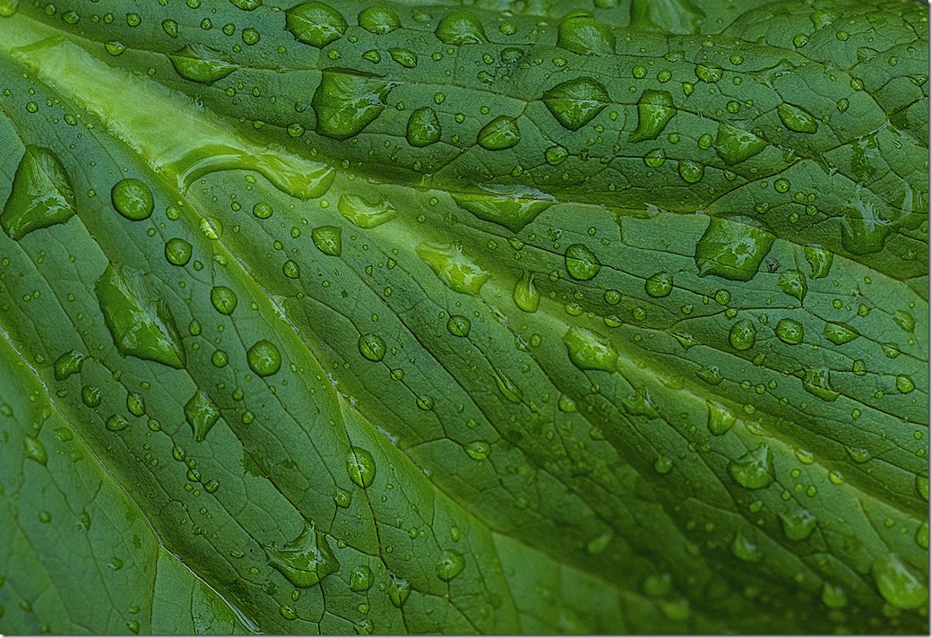 MichaelCunninghamGreen