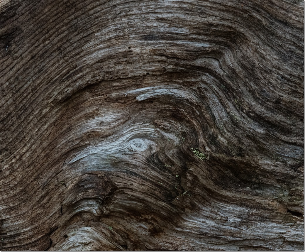 Wooden Wave 2_DSC6700