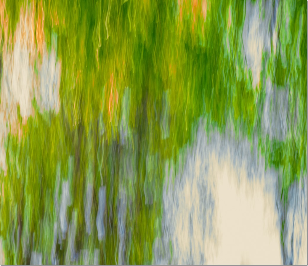 ICM Leaves  Cropped adjusted L1002583