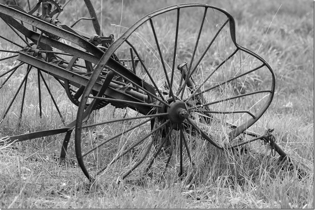 Old Wheel_SDI2769