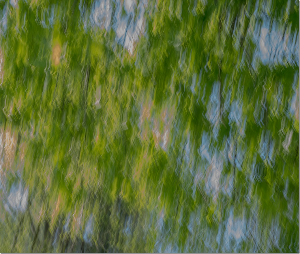 Tree shower L1002585