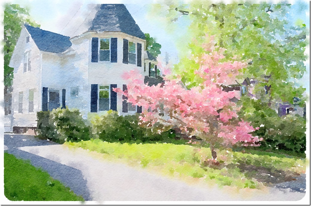 Waterlogue - Copy (11)