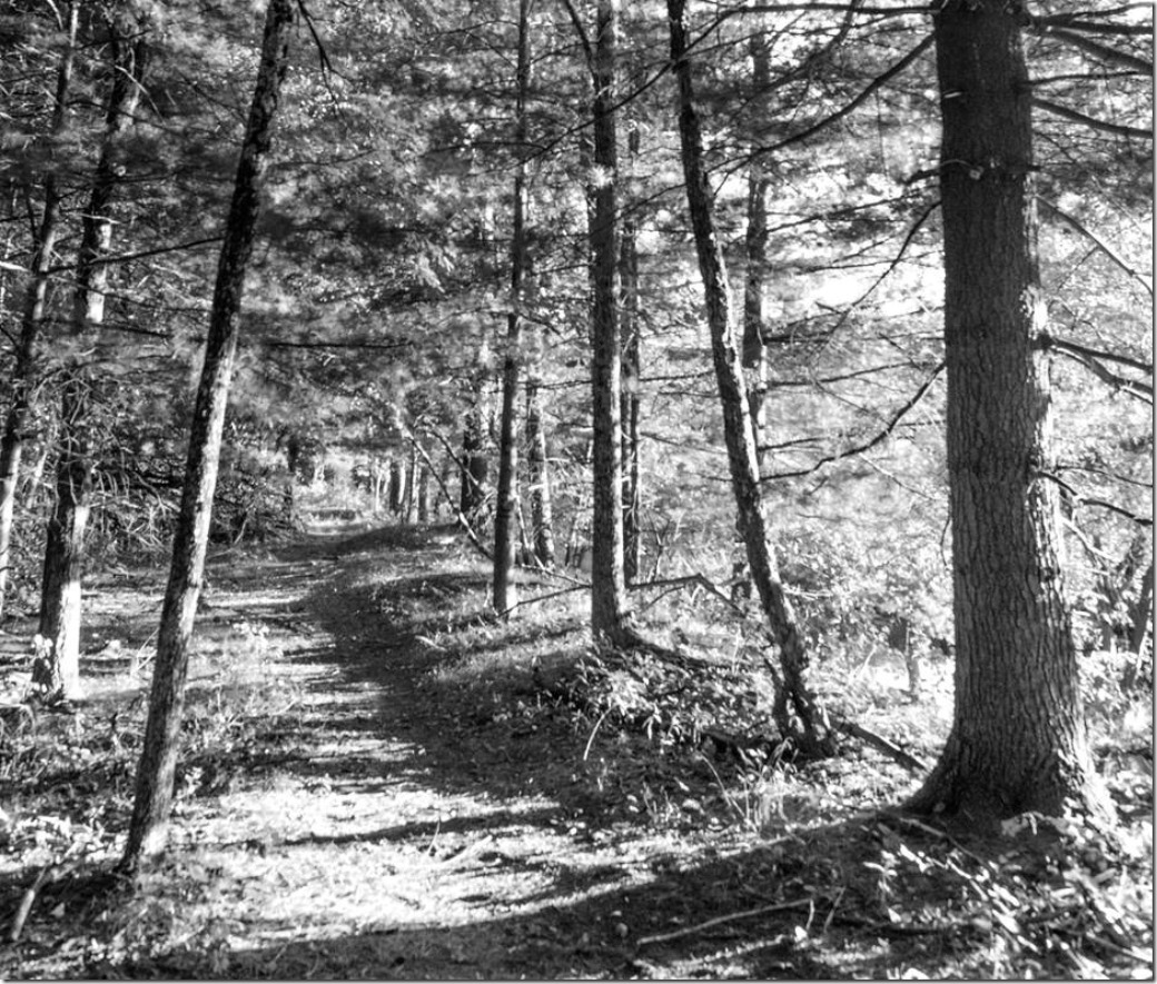 clip_image002