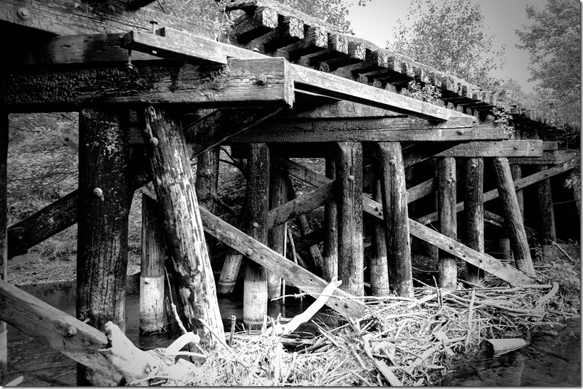 Distressed bridge_DSC8542 - Copy-1