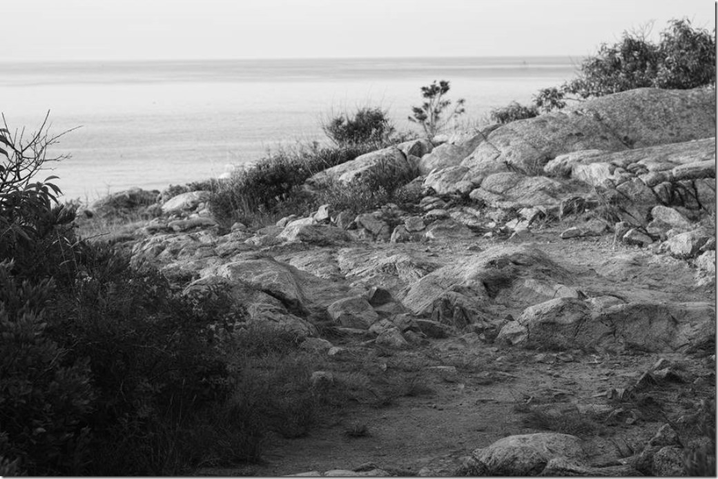 clip_image002