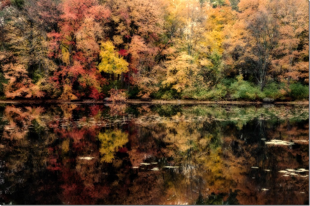 Crazy Fall colors  4 shadows lighter  L1003423-1