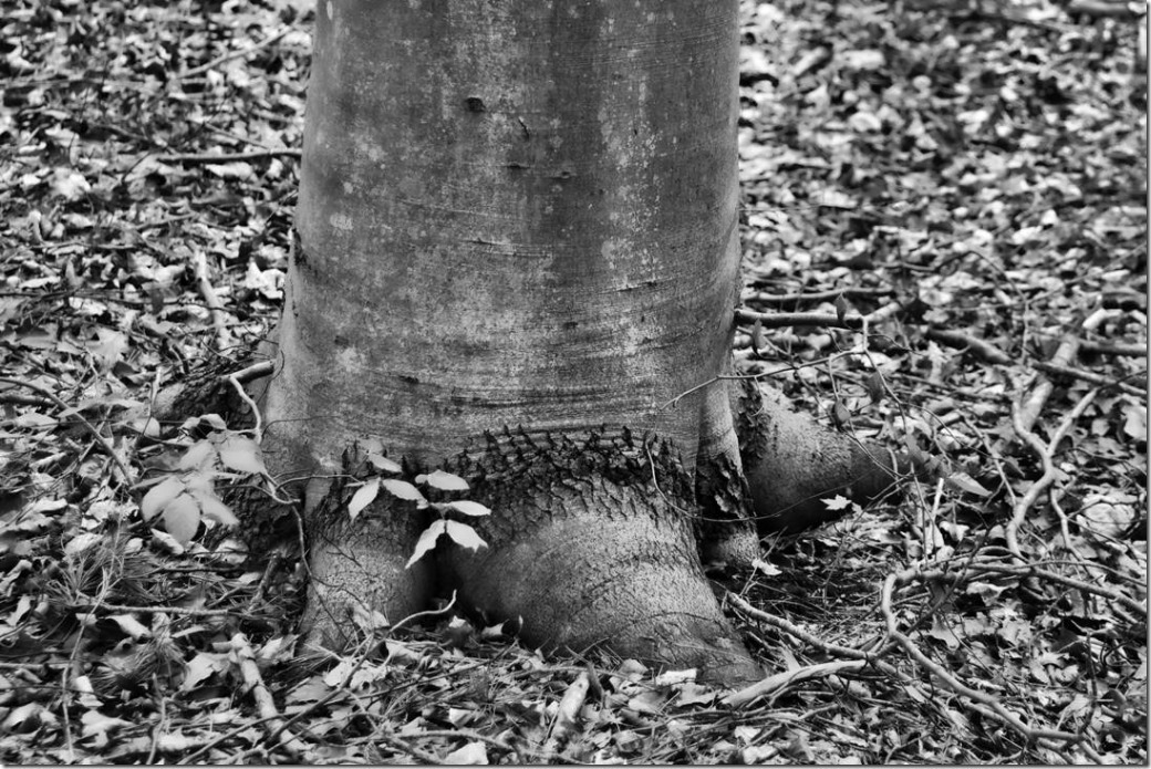 clip_image002_thumb[1]_thumb