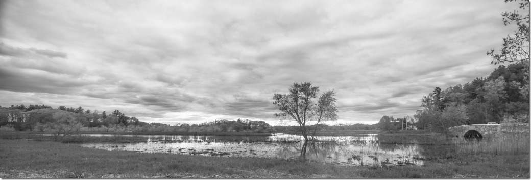 Landscape wide viewDSC_0975-1