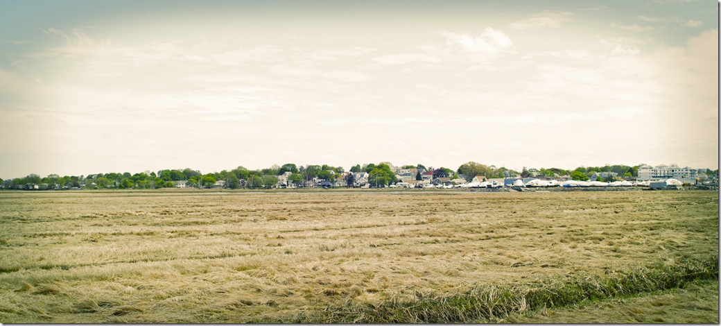 Salt Marsh with texture SDQH0883