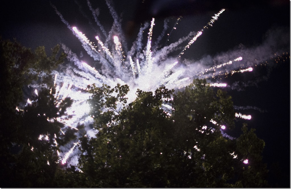 Fireworks DSC_1310-1