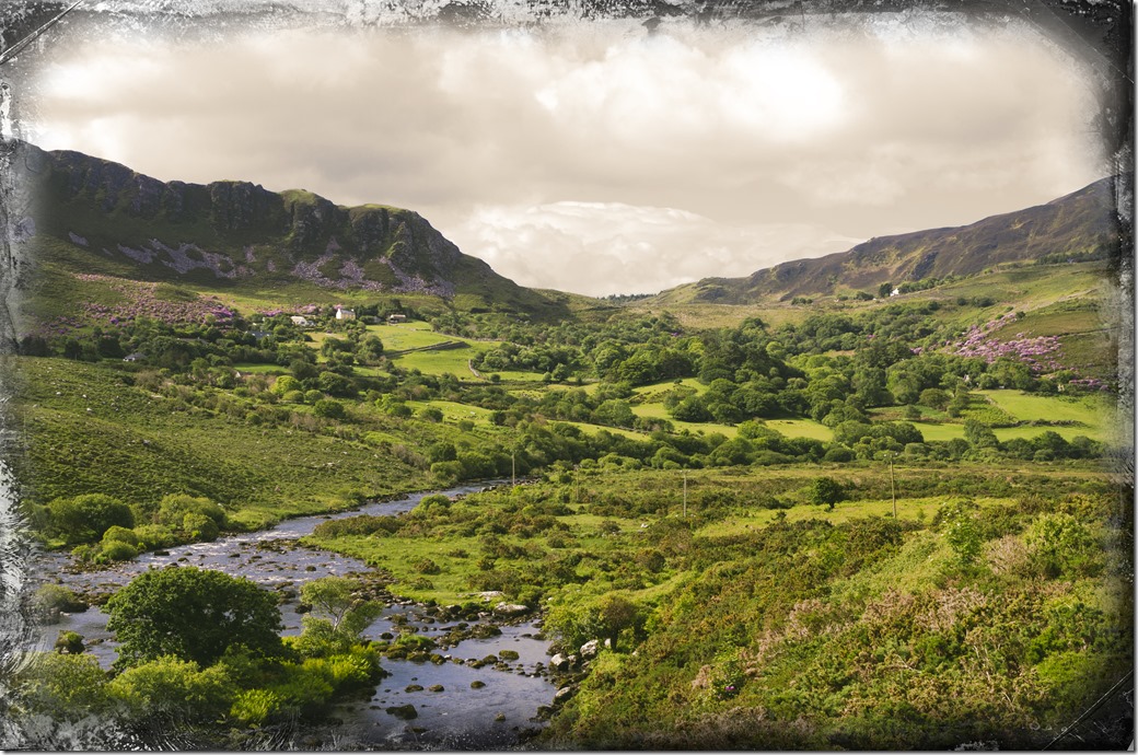 sUNNY DAY IN IRELAND IMGP2628-1