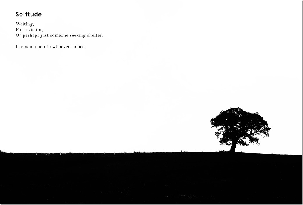 Solitude IMGP3106-1
