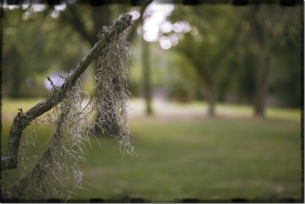 After another stormDSC00831-1