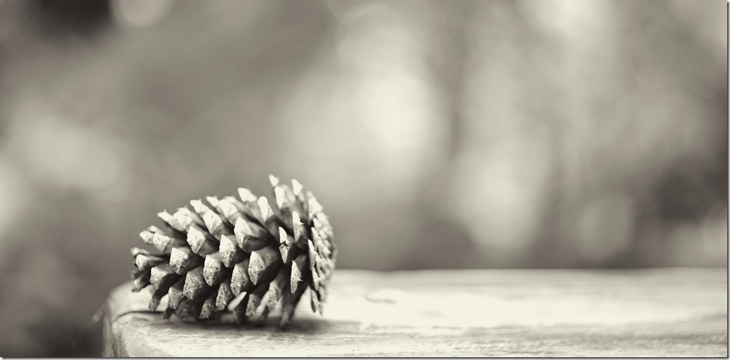 ine-Cone-DSC00816_thumb1