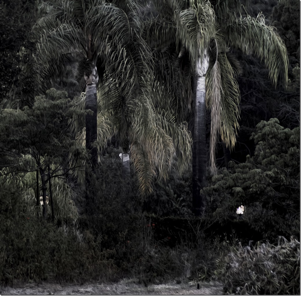 Early Evening _SDI4047