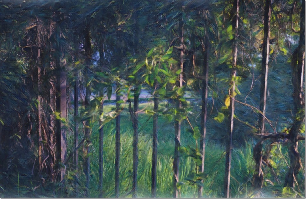 rAILING XT2A0494_Painting CROP