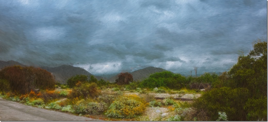 Lario Park Landscape R0011784