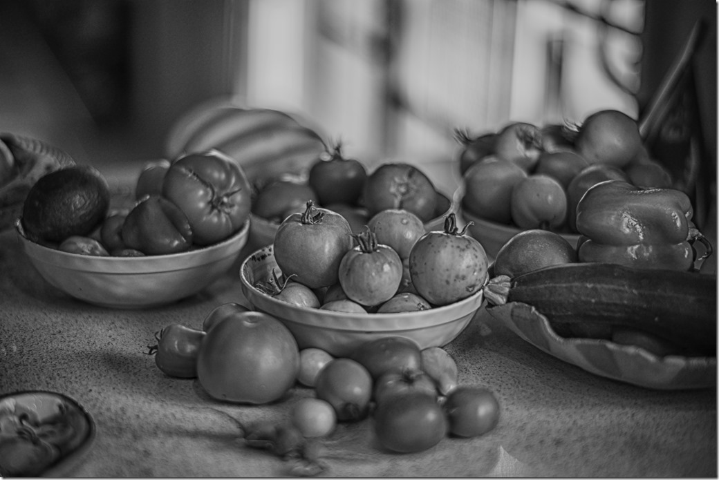 Fruit bw L1020407