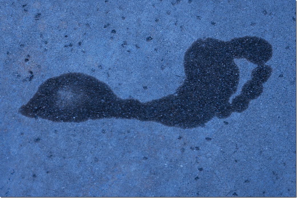 Footprint L1020921-2 copy