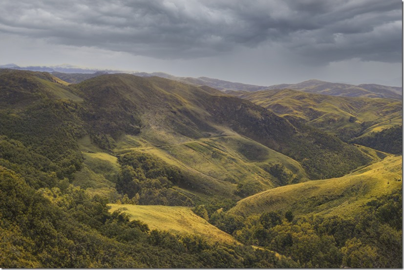 cOASTAL _SDI4275 copy